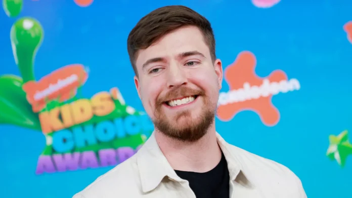 mr beast net worth